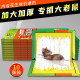 老鼠粘强力粘鼠板老鼠贴胶沾大老鼠家用扑捉器捕鼠器加大强力胶抓