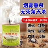 除蟑螂跳蚤药家用厨房室内灭小强苍蝇蚊子蜘蛛臭虫飞蛾除虫烟雾剂