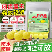团建驱避丸强力驱鼠丸驱蚊虫防鼠樟脑球室外虫鼠趋避丸春游家用款