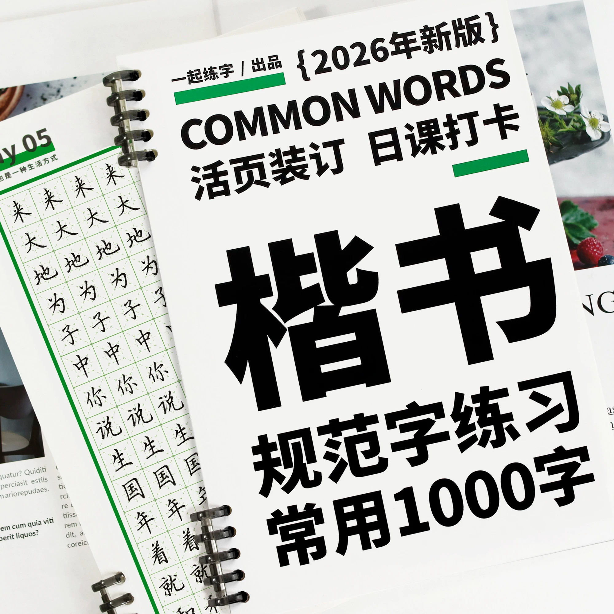 楷书字帖成人练字专用活页日课