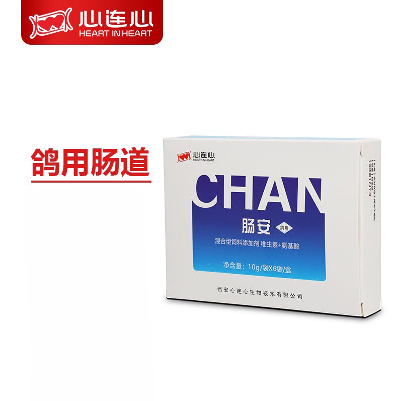 心连心鸽用肠安信鸽比赛鹦鹉繁殖期改善肠道粪便异常赛鸽子保健