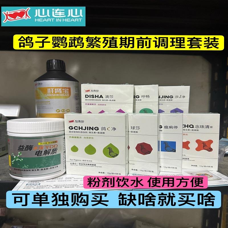 鸽子鹦鹉鸟繁殖期前调理常备全套