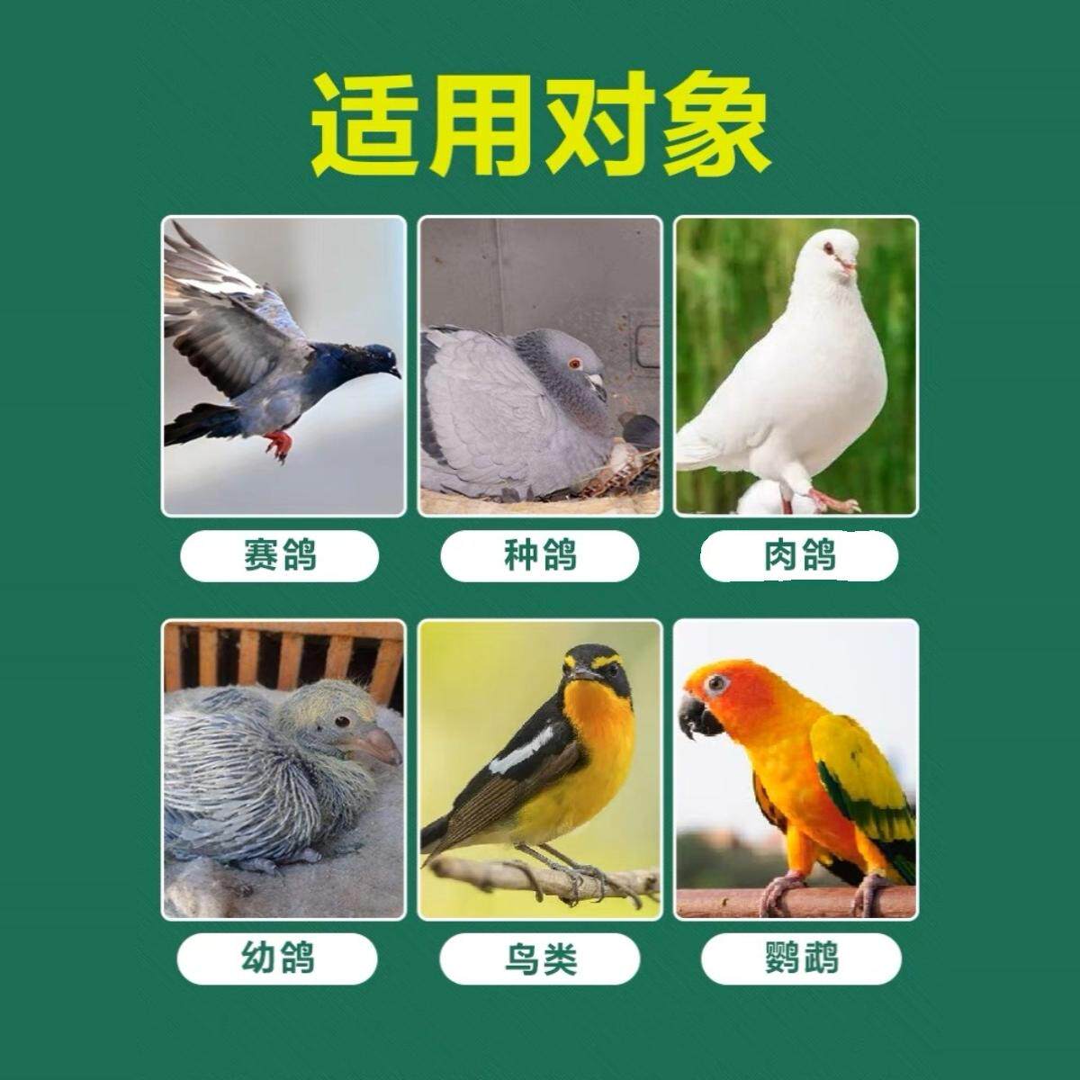 心连心鸽用肠安赛鸽比赛用品鹦鹉信鸽繁殖期改善肠道粪便异常鸽子