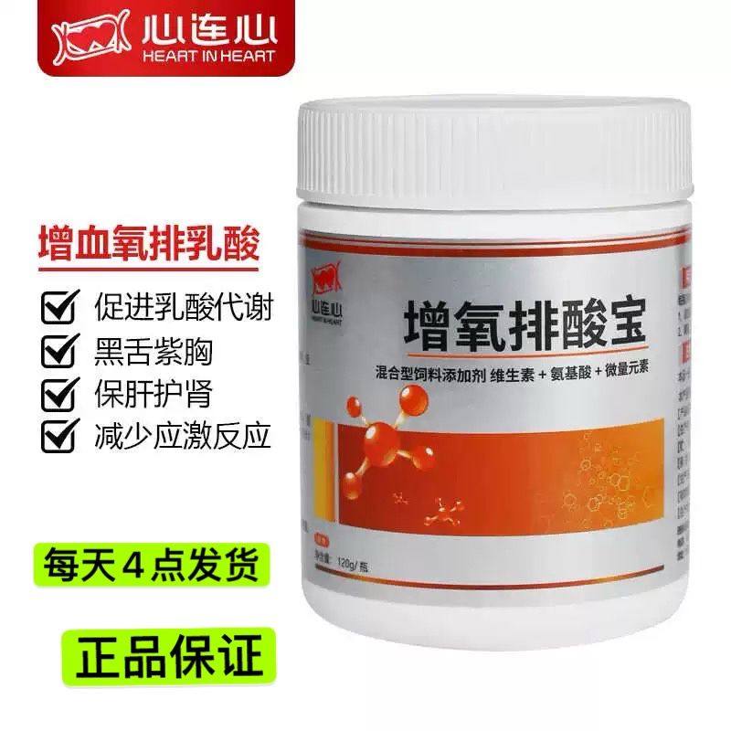 心连心鸽用增氧排酸宝信鸽赛鸽比赛改善排酸专用鸽子保健紫胸黑舌