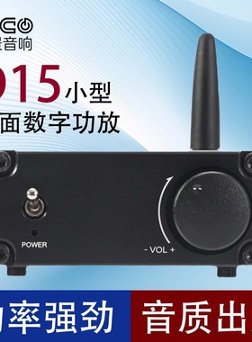 D15 英飞凌MA12070P 蓝牙5.0 低失真发烧数字立体声功放超TPA3116