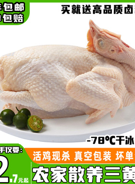 三黄童子鸡正宗4只农家散养三黄鸡净膛整鸡生鲜食材冻鸡顺丰冷链