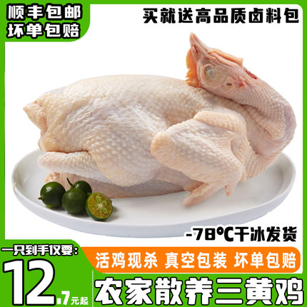 三黄童子鸡正宗4只农家散养三黄鸡净膛整鸡生鲜食材冻鸡顺丰冷链