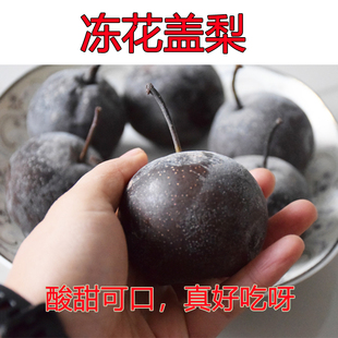 东北冻梨冻大白梨冻黑梨冻苹果梨冻花盖梨网红水果5斤包邮