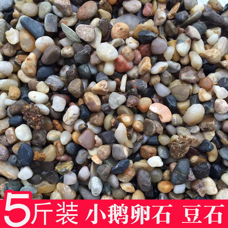 小鹅卵石天然五彩石头石子雨花石鱼缸石头沼泽过滤石滤料地暖豆石