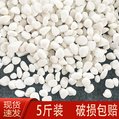 水培专用白石子多肉铺面石头白色鹅卵石花盆养花装饰鱼缸铺底造景