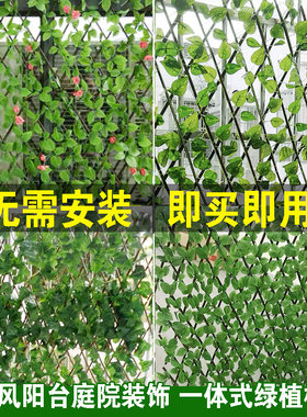 仿真植物墙面花架伸缩木栅栏篱笆