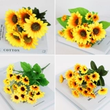 Xioxiang Sunflower Simulation Цветок