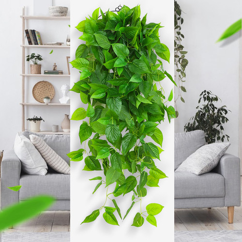 绿萝装饰花吊兰挂壁仿真植物藤条
