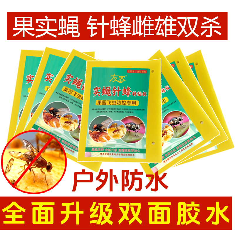果园大棚果实蝇针锋粘板黄色粘虫板瓜果实蝇诱虫板茶园桔小实蝇板