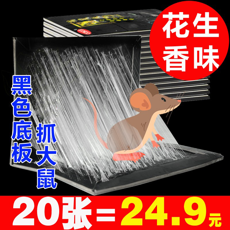 加大加厚粘鼠板ccbccr