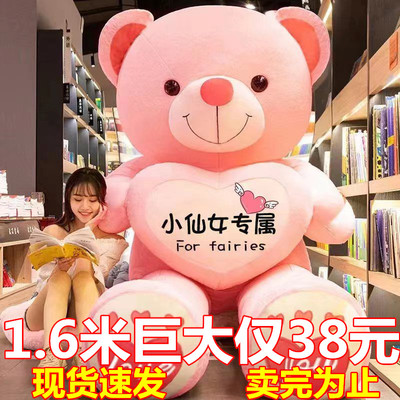 迷糊熊公仔抱枕PP棉有拉链可爱
