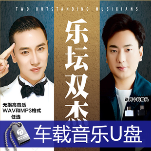 王琪 海来阿木 流行网络歌曲音乐 不过人间 送 HIFI音质汽车载U盘