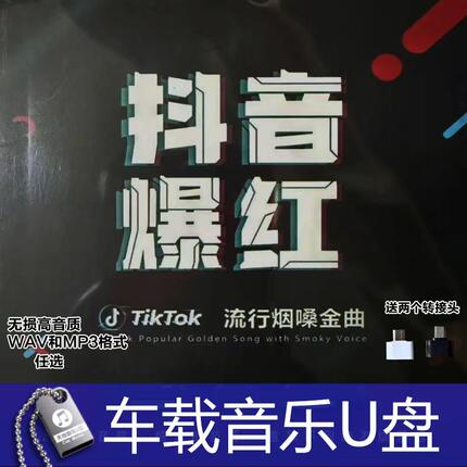 抖音爆红烟嗓女男声 伤感烟嗓 流行歌曲 HIFI音高无损家用车载U盘
