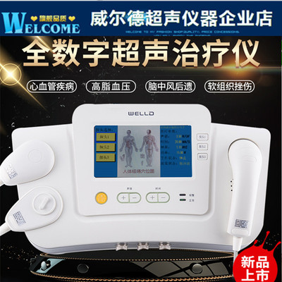 大功率治疗仪威尔德15W