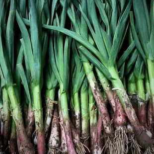 贵州农家蔬菜蒜苗炒肉炒菜香味扑鼻而来