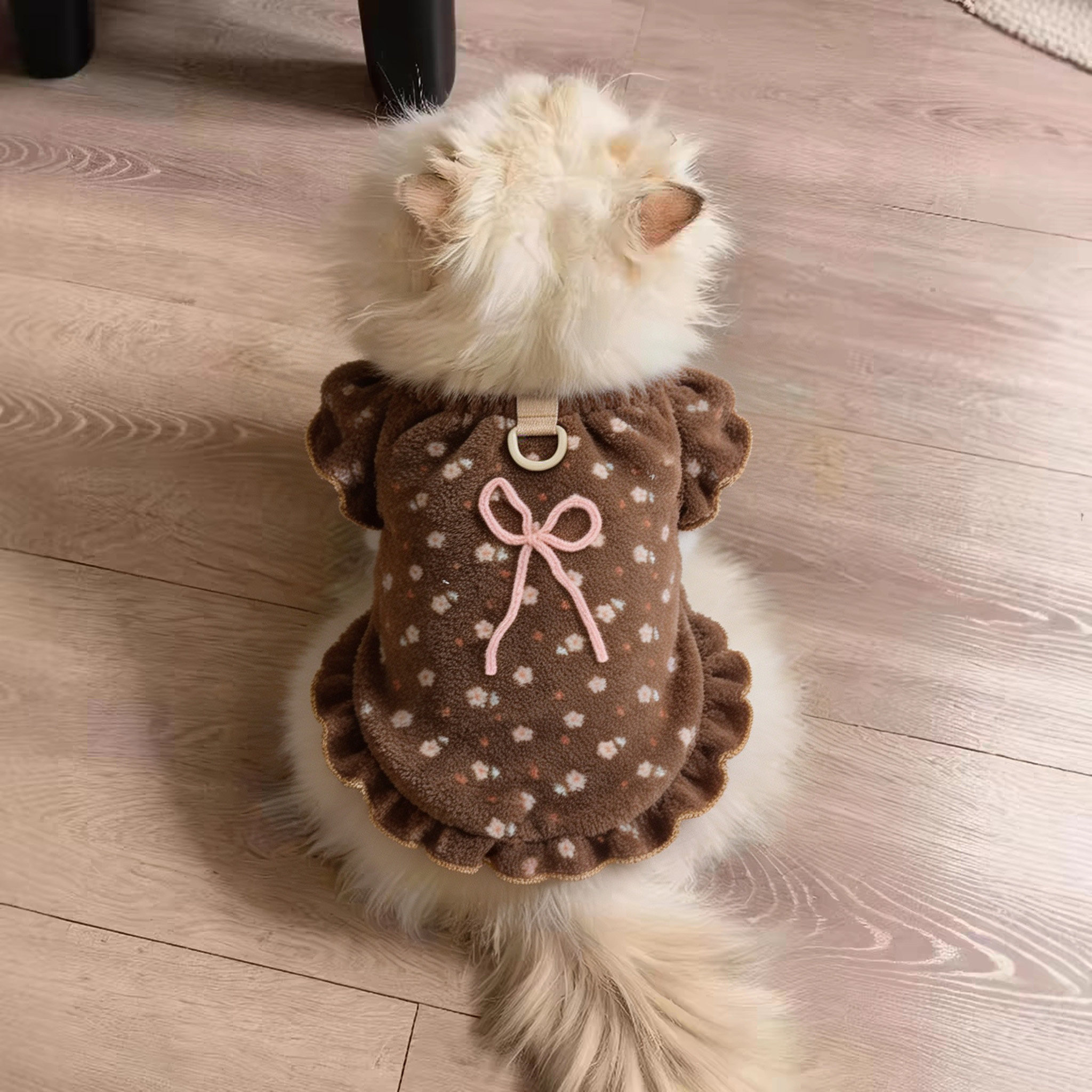 猫咪衣服起司猫秋冬缅因猫幼猫高颜值金渐层冬装可爱蝴蝶结两脚衣图片