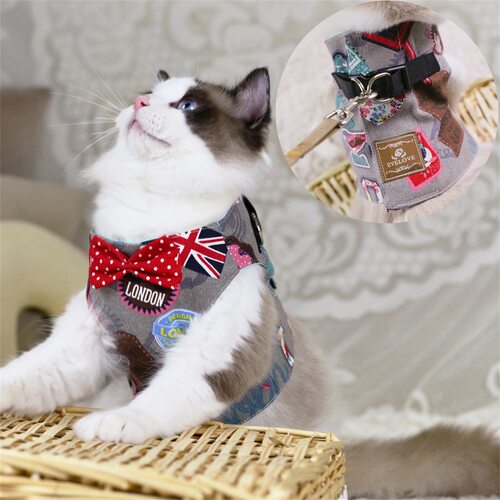 绅士蝴蝶结猫咪栓猫绳