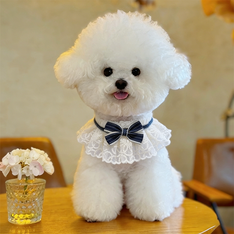 狗狗口水巾围脖小狗围兜小型犬蕾丝花边蝴蝶结可爱颈饰高颜值围兜