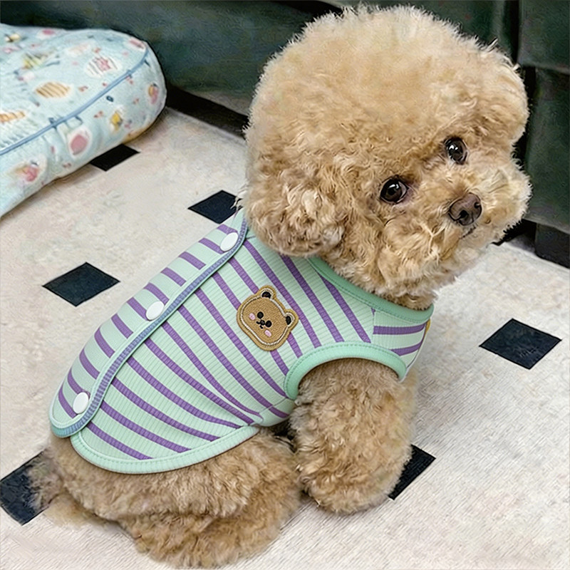 小狗衣服春装薄款幼犬夏天狗狗按扣式背心元气两脚衣宠物秋天泰迪