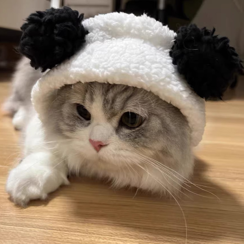 猫咪帽子露耳朵头套可爱大熊猫金渐层银渐层外出保暖可爱宠物用品