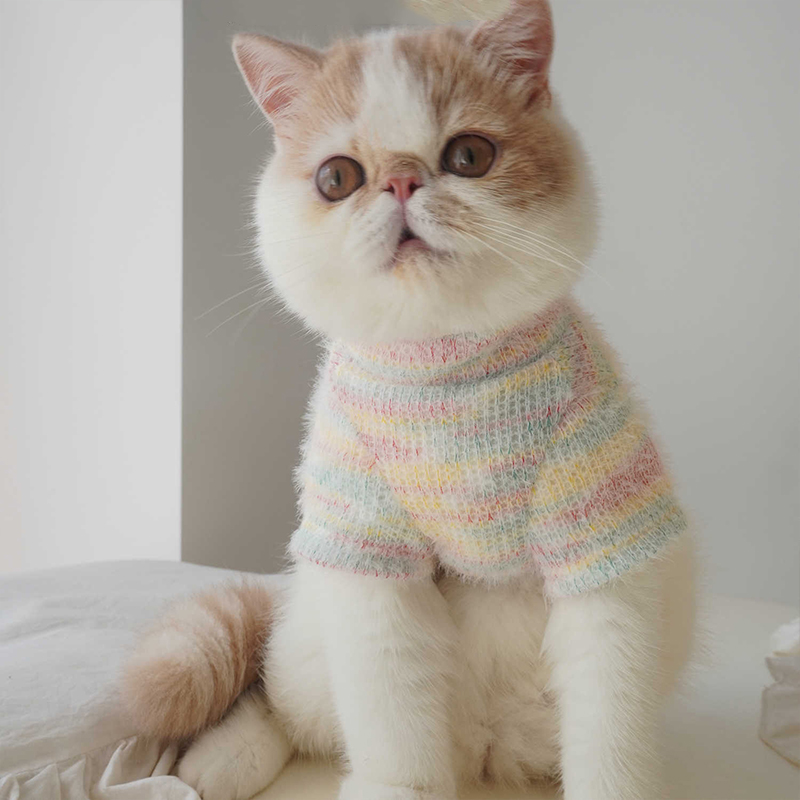 猫咪衣服冬装可牵引两脚衣针织衫