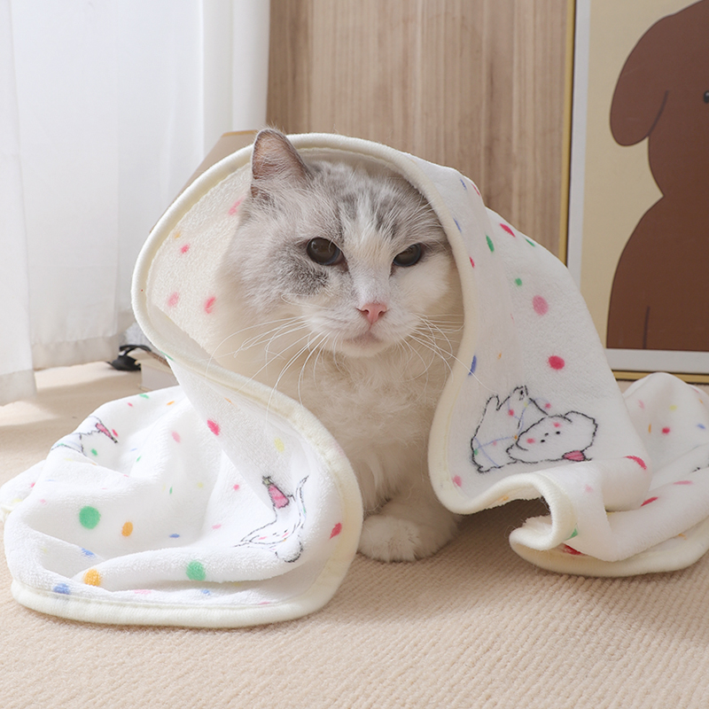 猫毯子小猫睡觉被子猫咪毛毯橘猫布偶波点毛绒小盖毯午睡冬季保暖