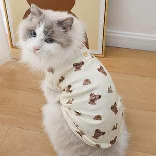 猫咪春夏季衣服公猫帅气夏天透气背心四季通用轻薄两脚衣用品大全