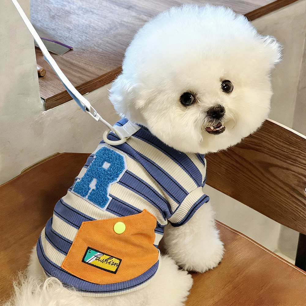 狗狗衣服2026新款春装小型犬夏天比熊可牵引薄款条纹衣两脚雪纳瑞图片