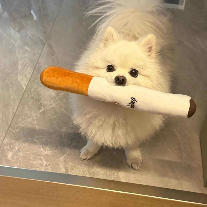 狗狗玩具毛绒耐咬发声比熊泰迪