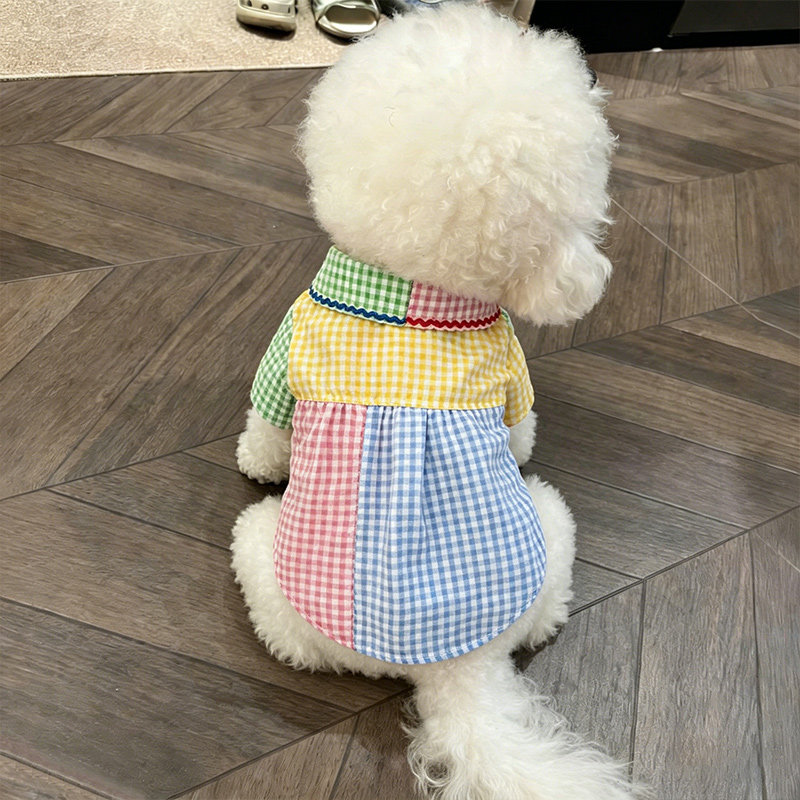 小狗衣服春装薄款幼犬夏天狗狗比熊撞色衬衫春夏户外透气马尔济斯