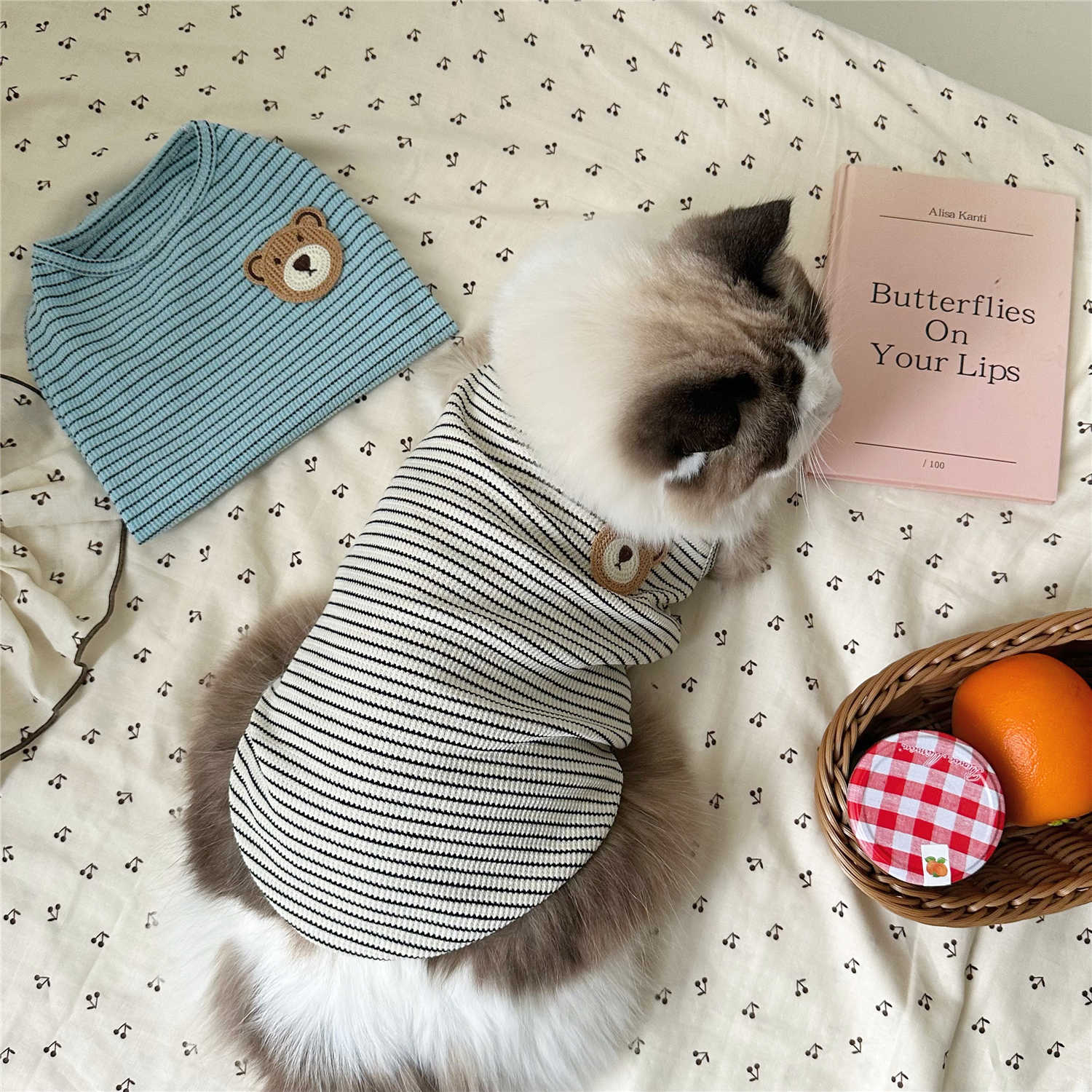 猫咪可爱条纹衣服外出衣