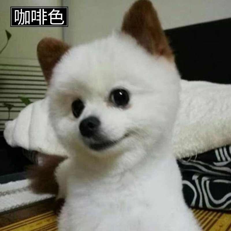 白色狗狗染发剂焗油膏小狗专用