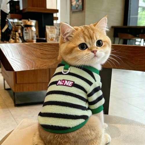猫咪衣服缅因猫高颜值布偶猫小猫防掉毛条纹两脚衣居家服休闲舒适