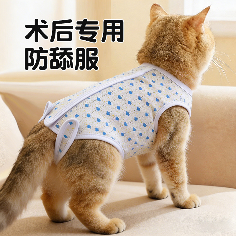 猫咪绝育服母猫绝育术后服小猫两脚衣公猫防舔居家橘猫蓝色四叶草