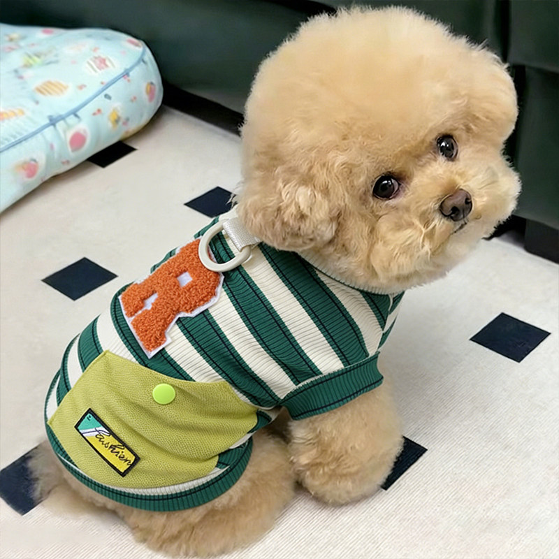 小狗衣服春装薄款幼犬夏天狗狗户外可牵引泰迪绿白条纹春夏款比熊图片