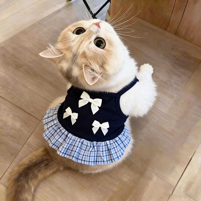 小猫衣服薄款幼猫夏天防掉毛猫咪金渐层高颜值学院风冰丝透气吊带图片