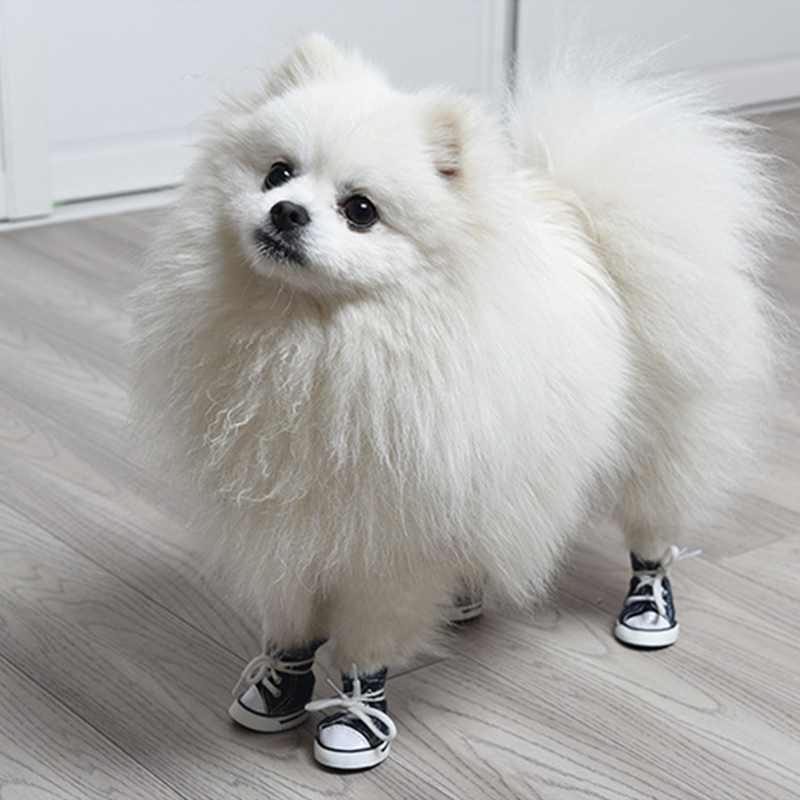 小型犬鞋狗狗冬天专用鞋