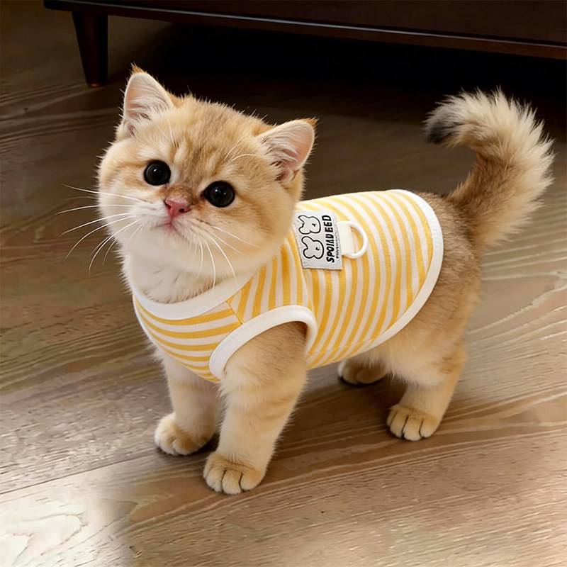 猫咪衣服防掉毛薄款春装夏天幼猫可牵引布偶猫户外防脏高颜值背心图片