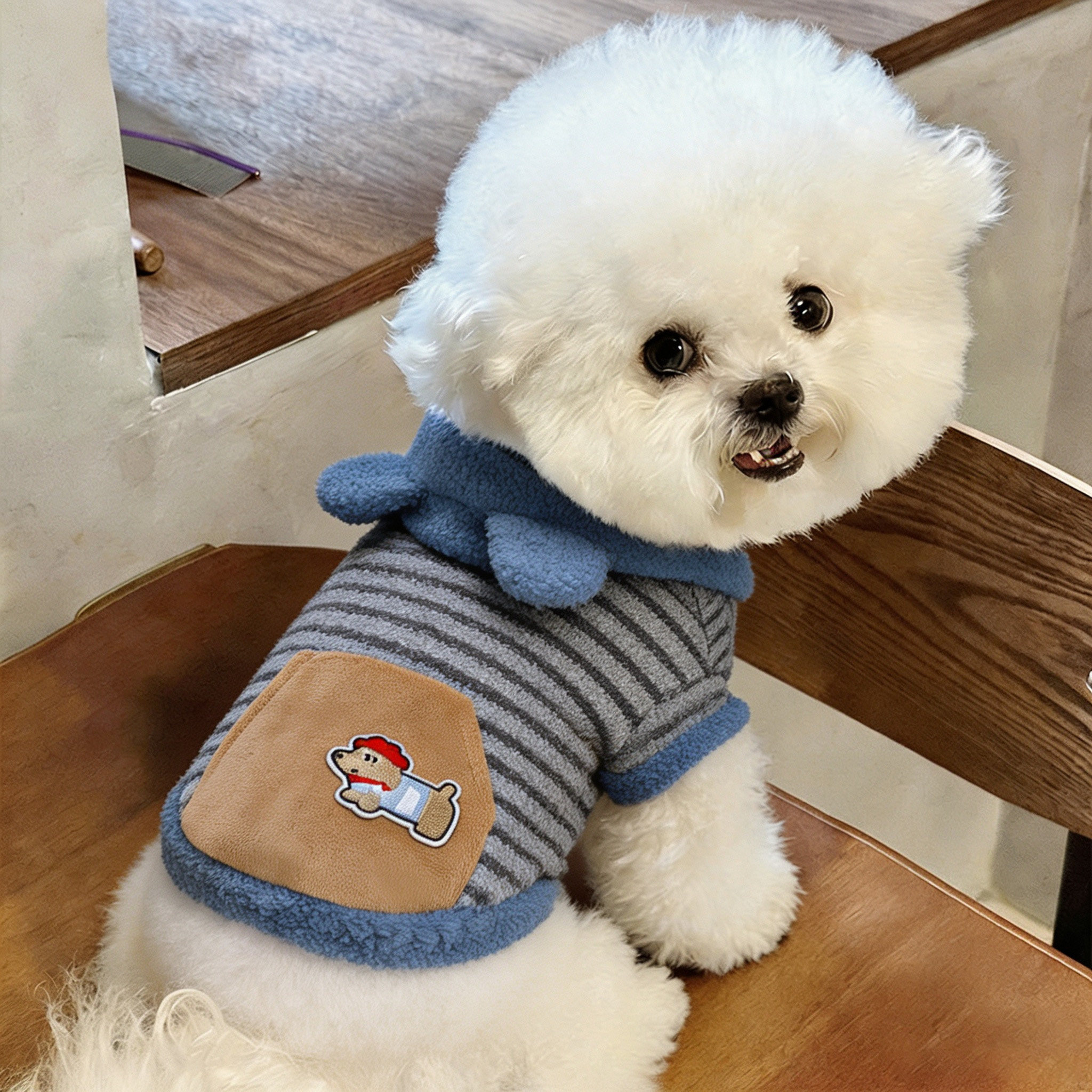 狗狗衣服雪纳瑞幼犬博美高颜值小奶狗防掉毛带帽可爱棉绒衣秋冬装