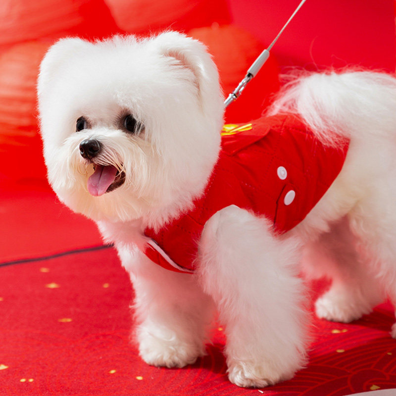 冬季过年外出保暖大红两脚狗棉衣