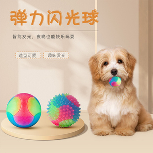 小狗玩具解闷磨牙幼犬马尔泰比熊耐咬橡胶球逗狗球彩色弹力闪光球