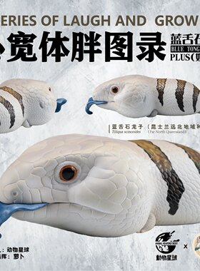 动物星球心宽体胖蓝舌石龙子Plus奶盖联名款蜥蜴手办模型昆东
