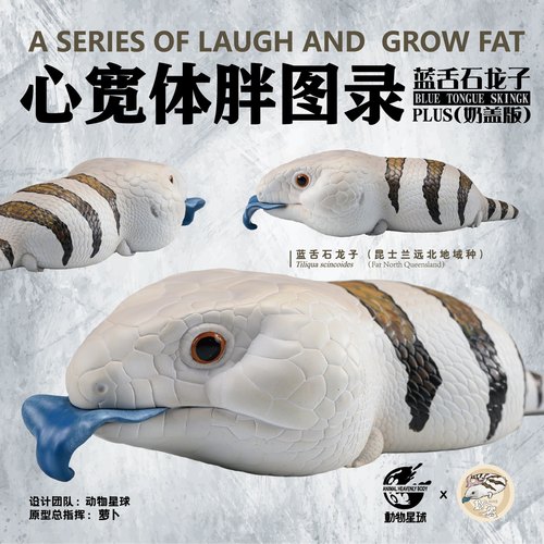 动物星球心宽体胖蓝舌石龙子Plus奶盖联名款蜥蜴手办模型昆东