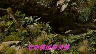 Ladies Gamers Lords 微缩 模型 草簇 现货 成品 and Grass 植株