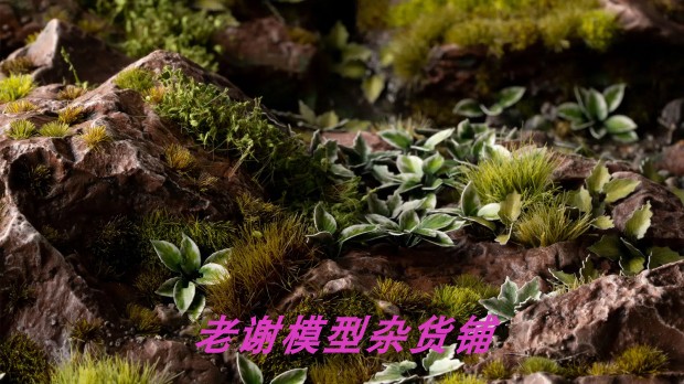 现货 Gamers Grass Plantain Lily 成品 草簇 植株 微缩 模型